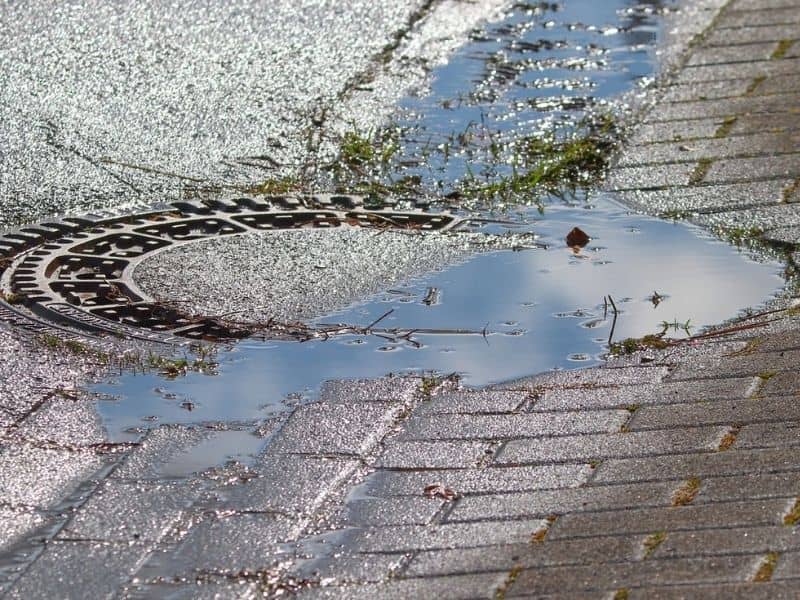 Wet paving stones surrounding a drainage cover, illustrating brick pavers near downspouts after rain